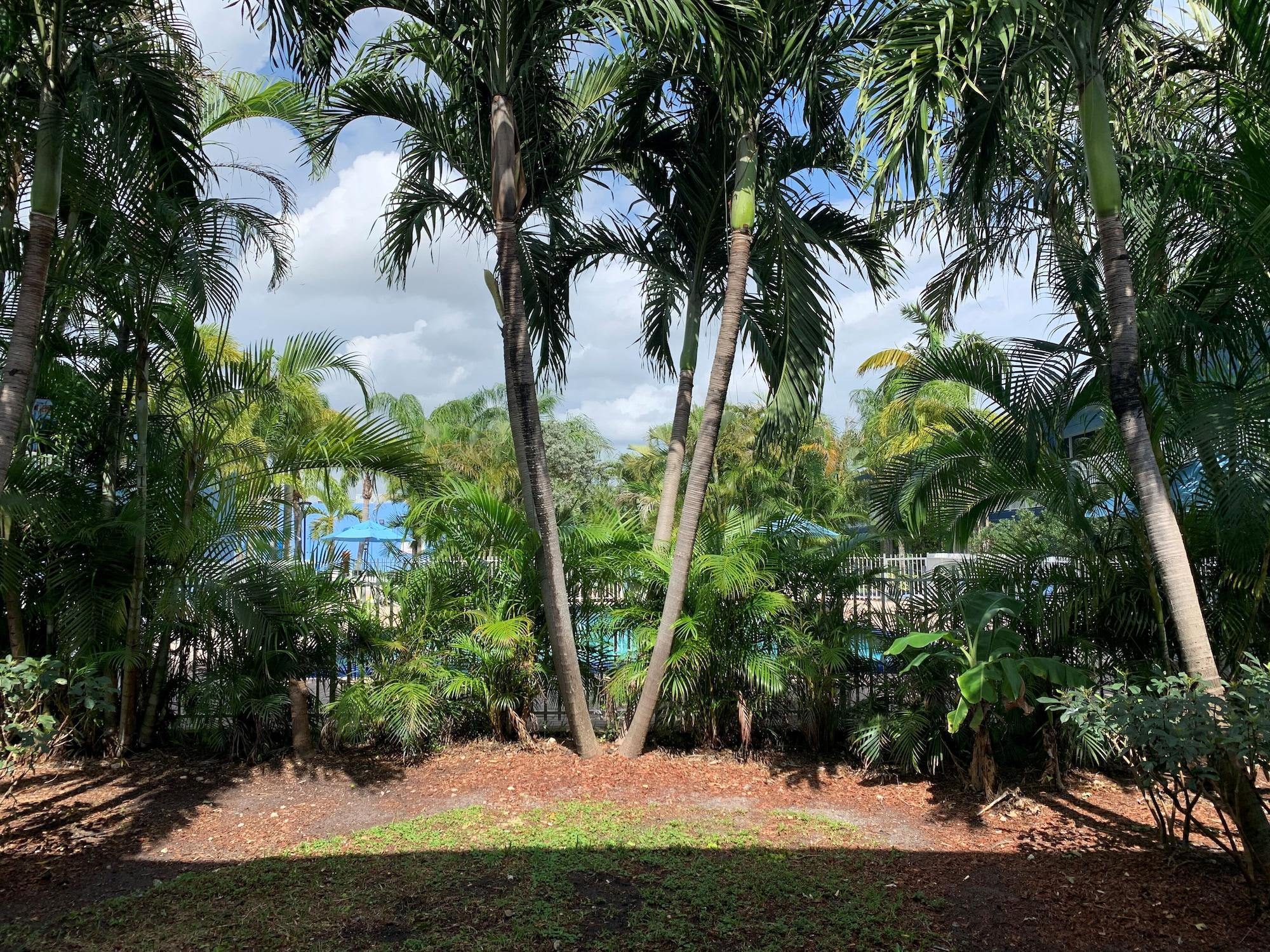 Rodeway Inn&Suites Fort Lauderdale Airport&Cruise Port Dania Beach Extérieur photo